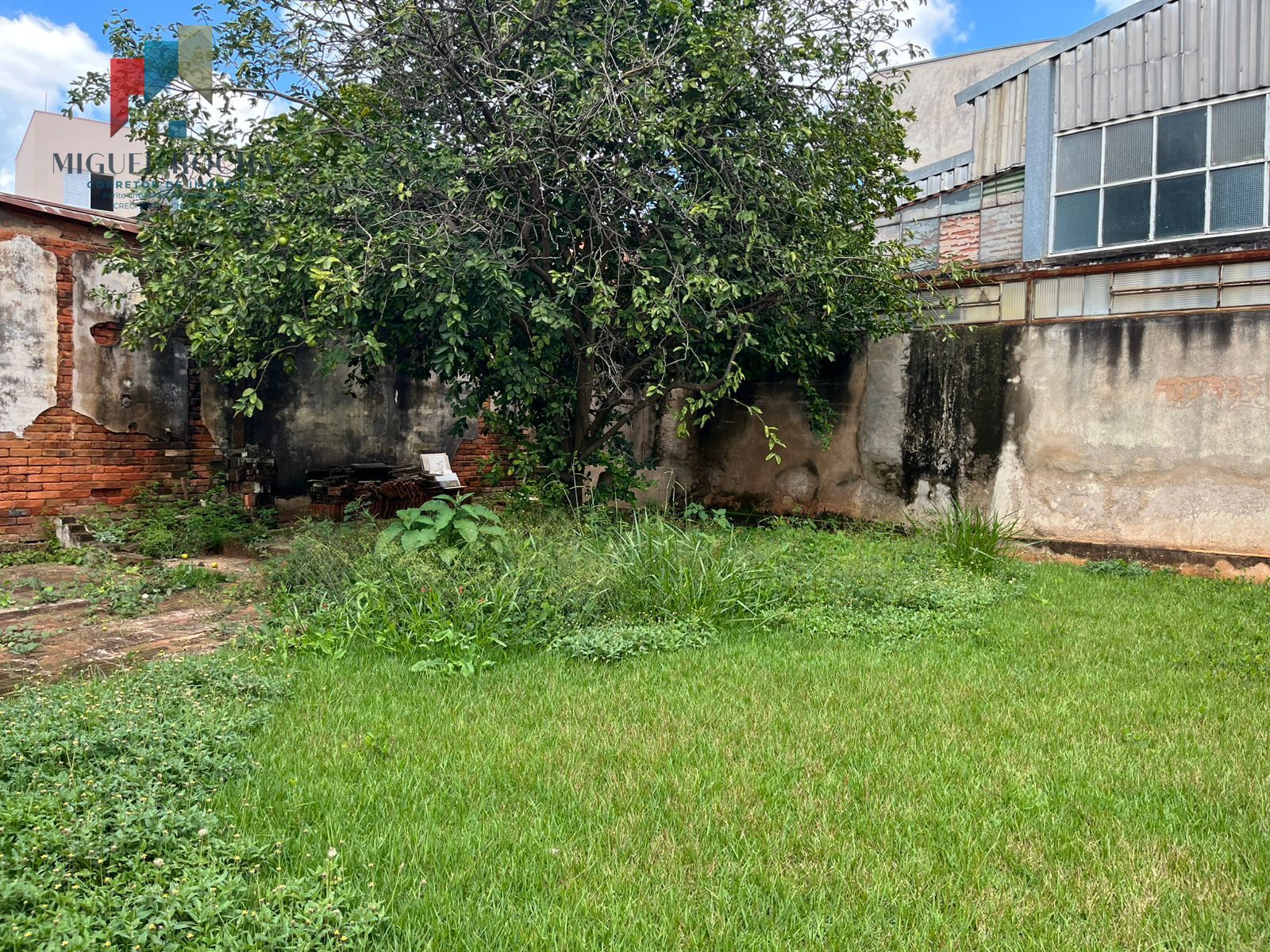 Casa, 3 quartos, 137 m² - Foto 13