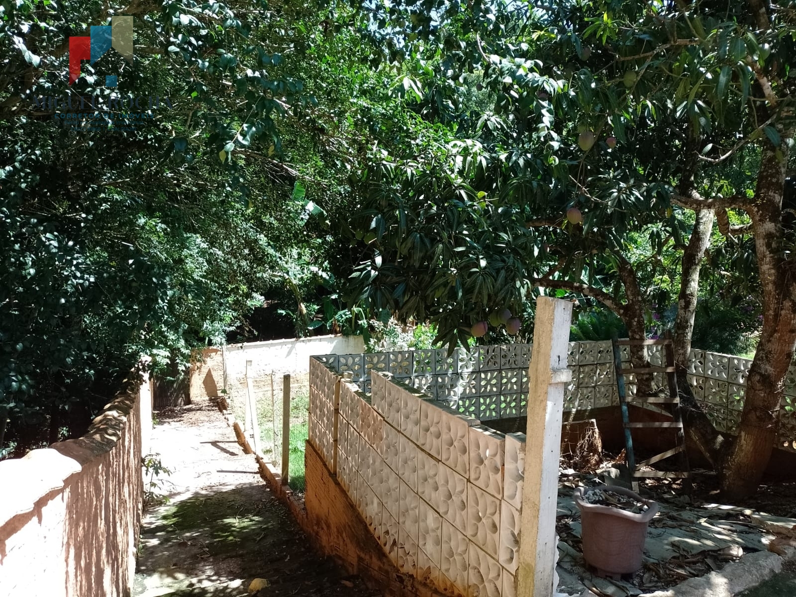 Fazenda à venda com 2 quartos, 1156m² - Foto 13