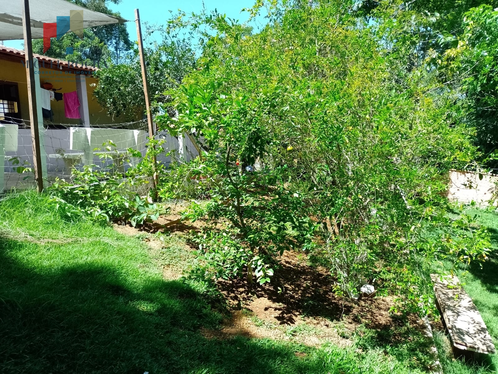 Fazenda à venda com 2 quartos, 1156m² - Foto 38