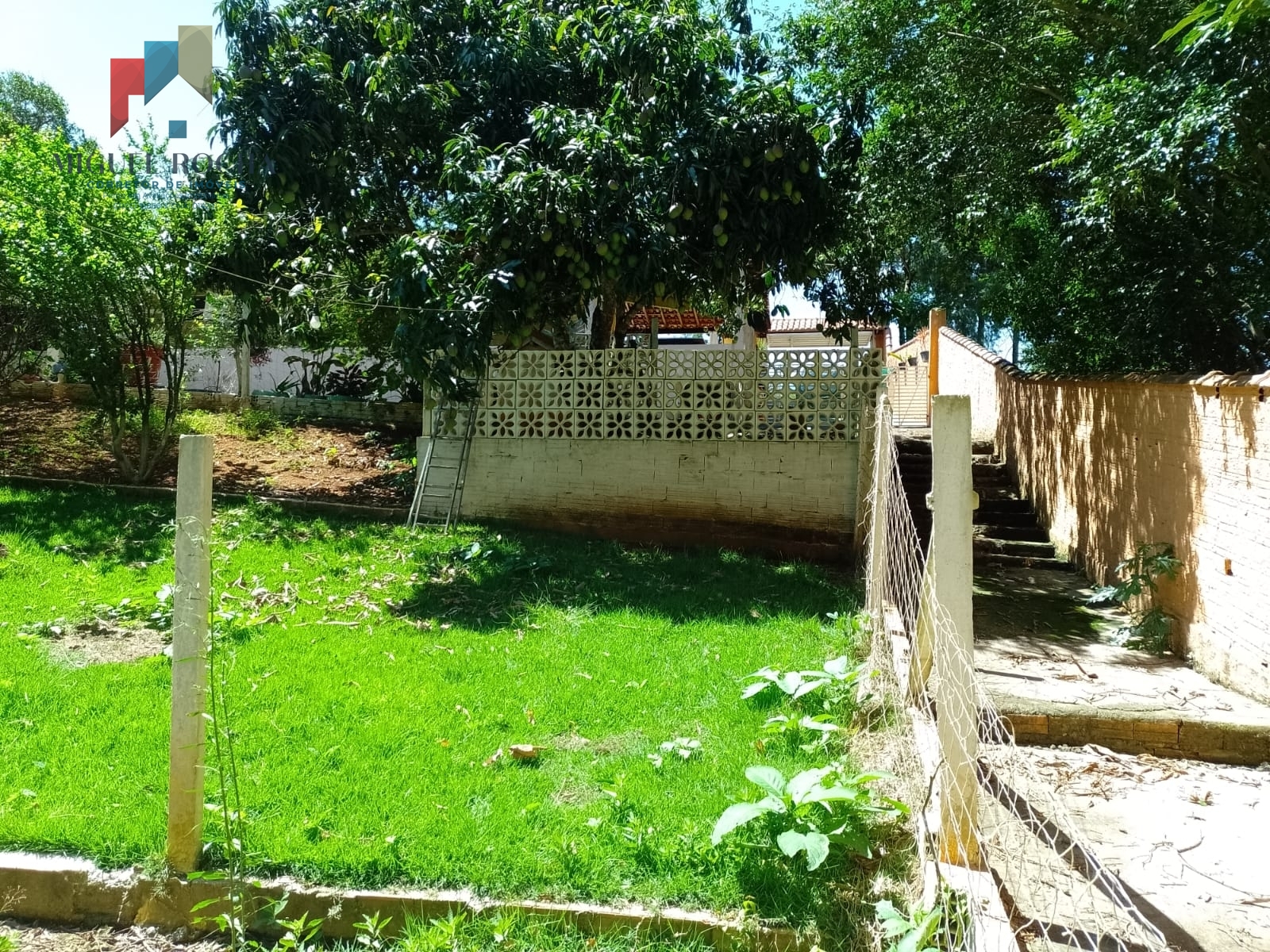 Fazenda à venda com 2 quartos, 1156m² - Foto 47