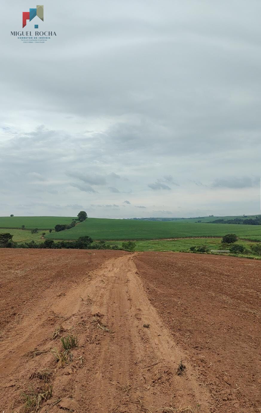 Fazenda à venda com 2 quartos, 1972300m² - Foto 6