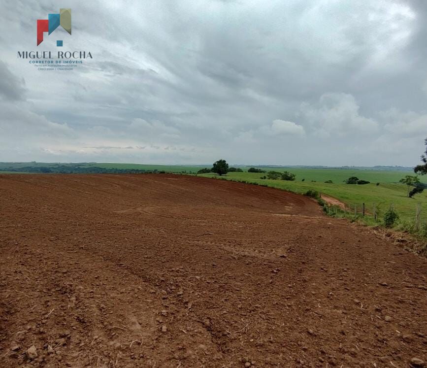 Fazenda à venda com 2 quartos, 1972300m² - Foto 2