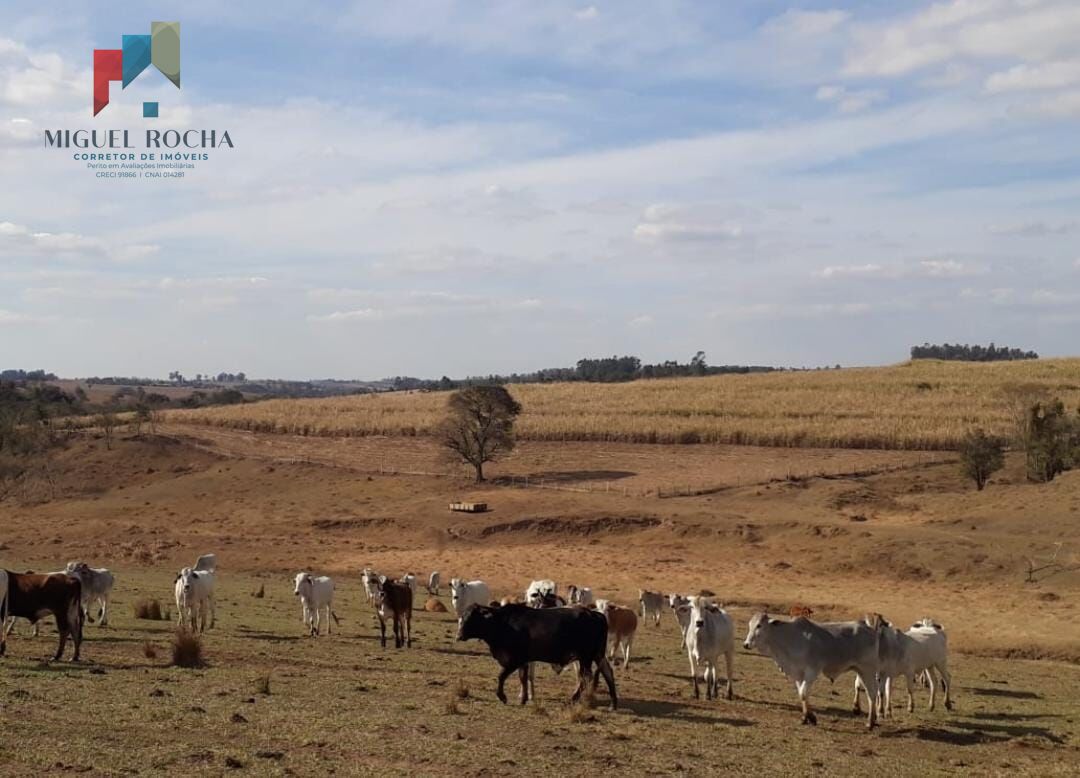 Fazenda à venda com 2 quartos, 1972300m² - Foto 8