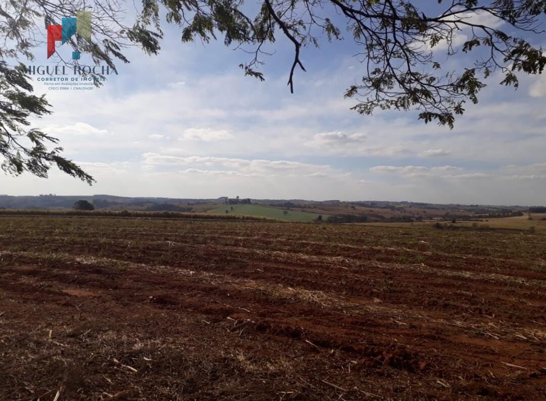 Fazenda Região de Tiête SP