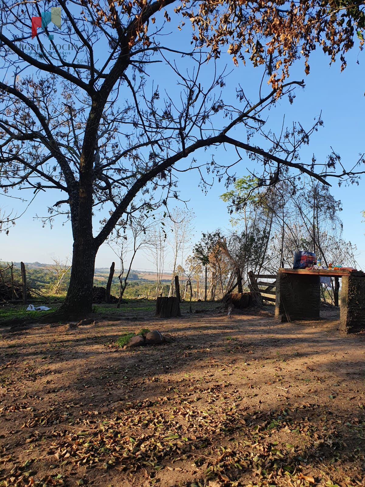 Fazenda à venda com 2 quartos, 169400m² - Foto 5