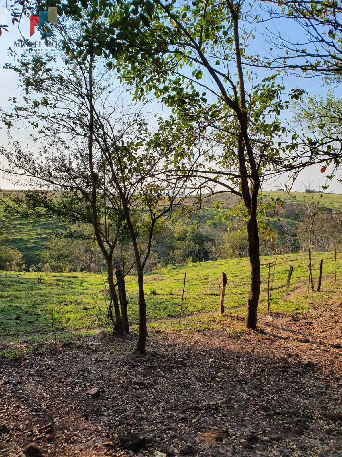 Fazenda à venda com 2 quartos, 169400m² - Foto 2