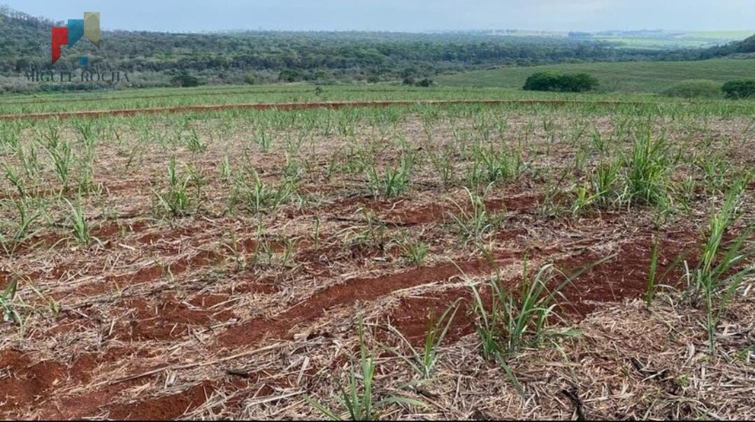 Fazenda à venda, 1621400m² - Foto 4