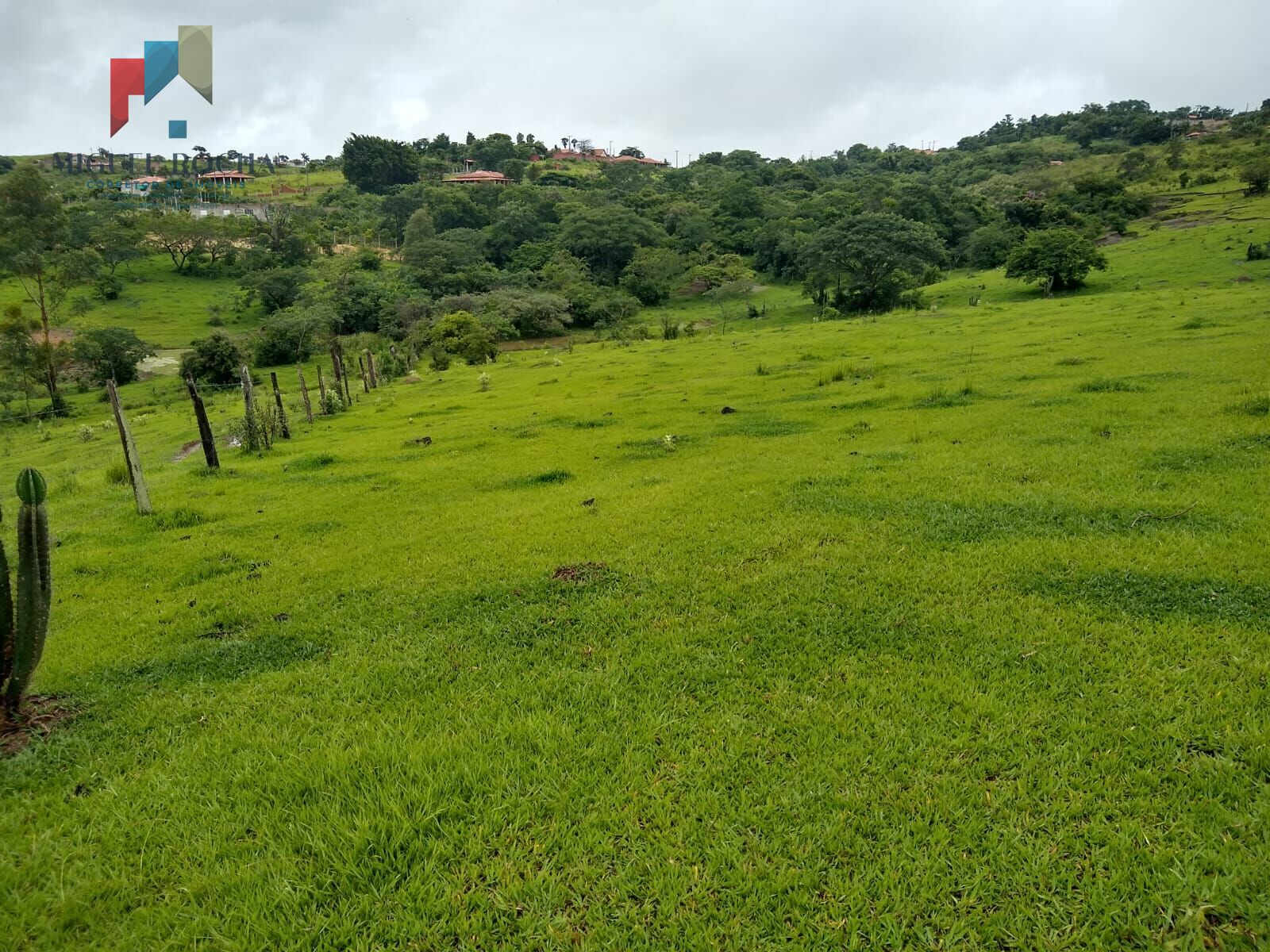 Fazenda à venda com 2 quartos, 60500m² - Foto 7