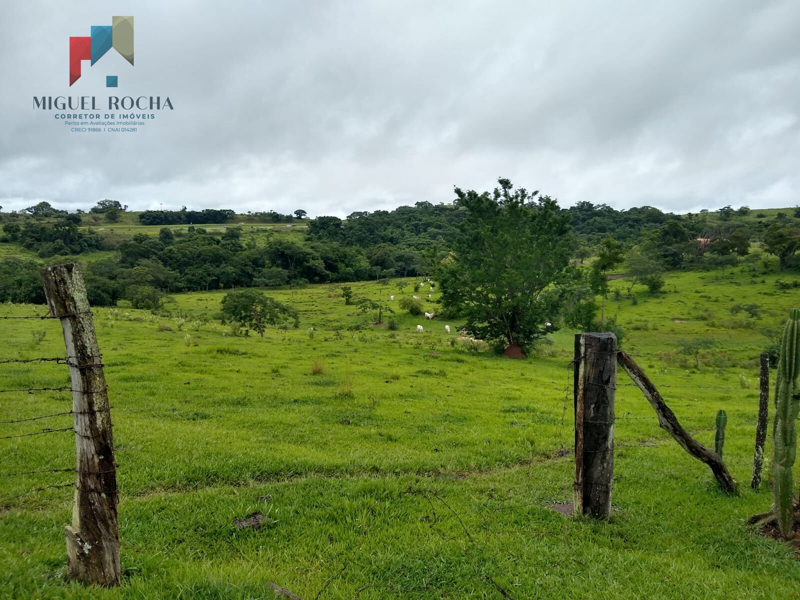 Fazenda à venda com 2 quartos, 60500m² - Foto 5