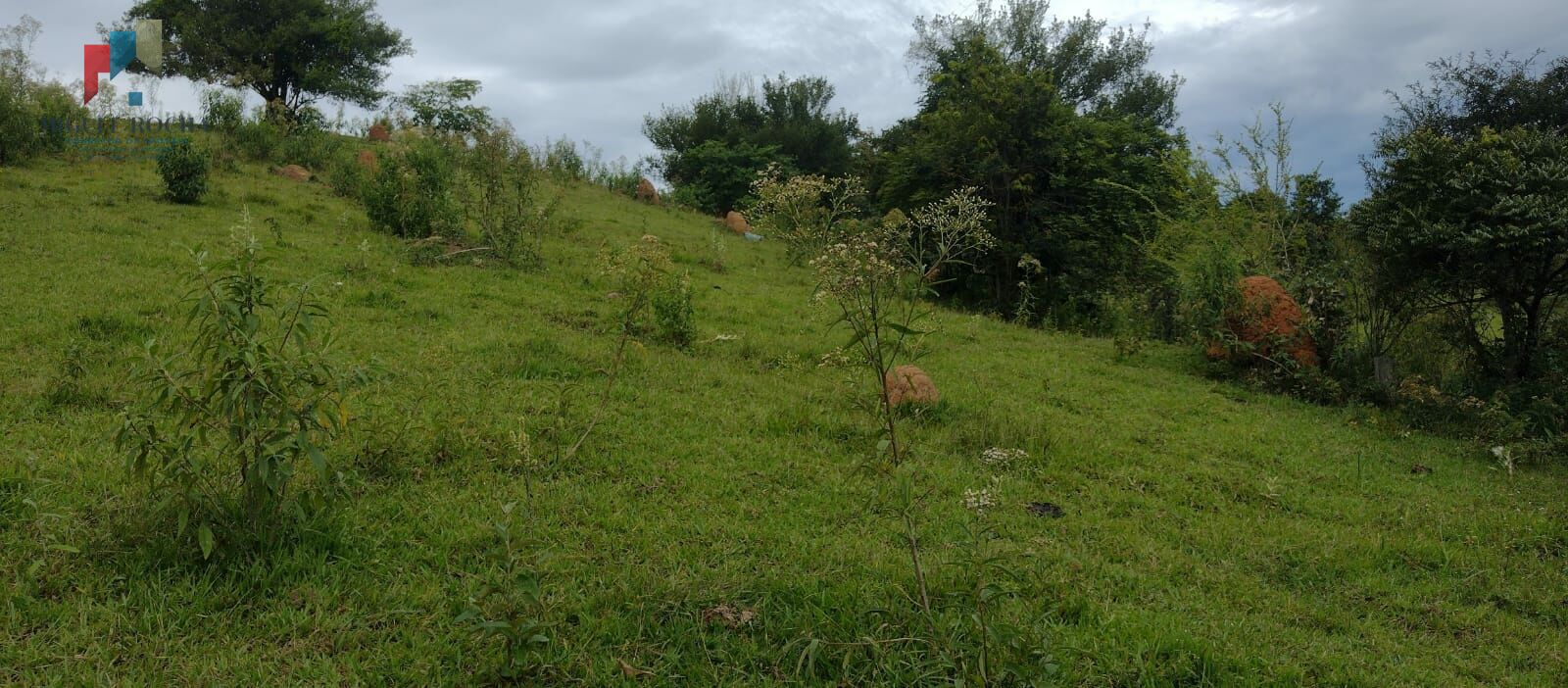 Fazenda à venda, 54000m² - Foto 3