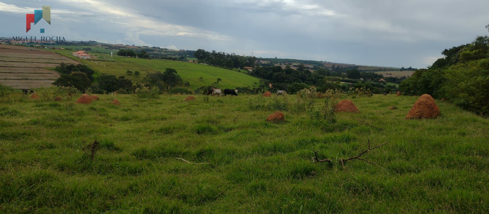 Fazenda à venda, 54000m² - Foto 2