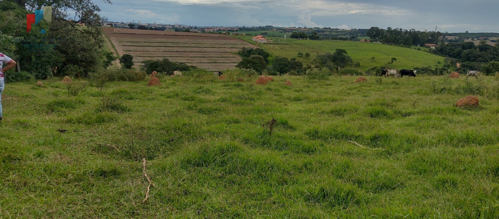 Fazenda à venda, 54000m² - Foto 1