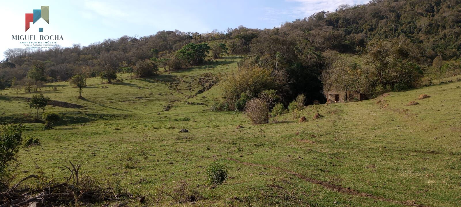 Fazenda à venda, 290400m² - Foto 5