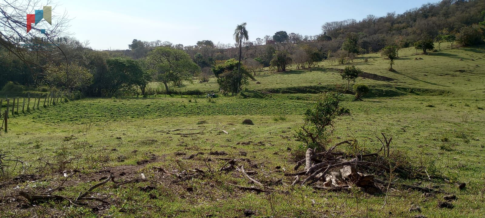 Fazenda à venda, 290400m² - Foto 6