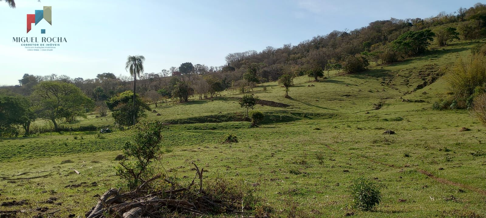 Fazenda à venda, 290400m² - Foto 4