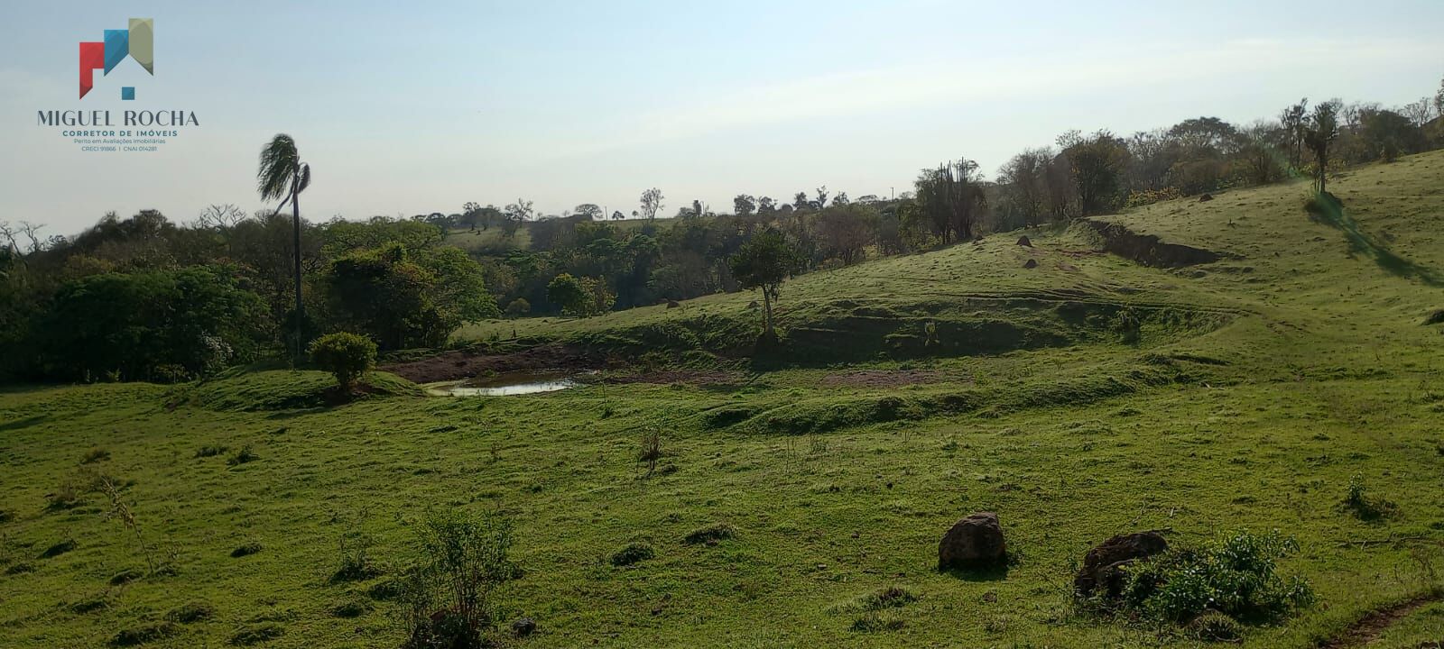 Fazenda à venda, 290400m² - Foto 3