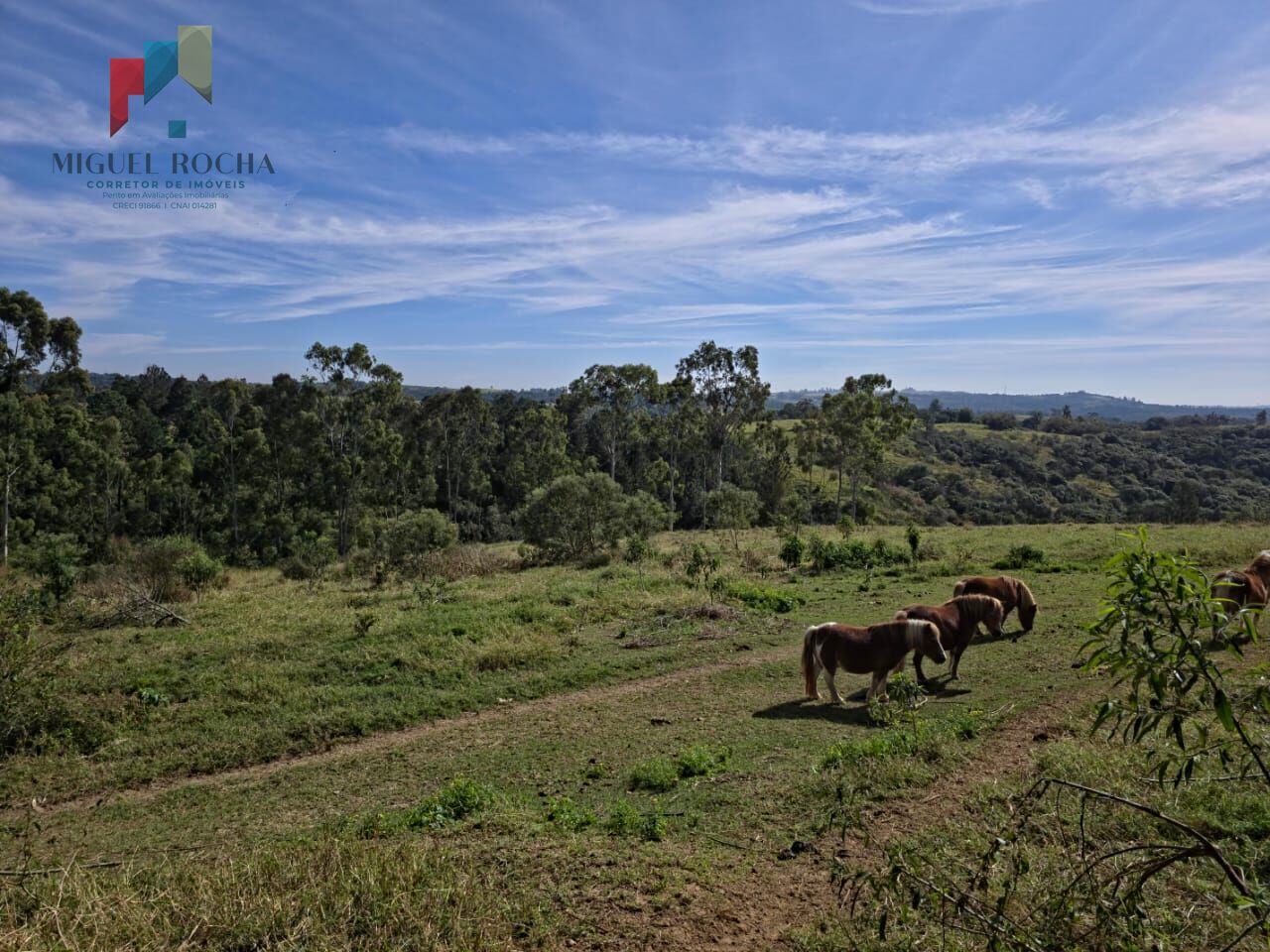 Sítio à venda com 3 quartos, 290000m² - Foto 36