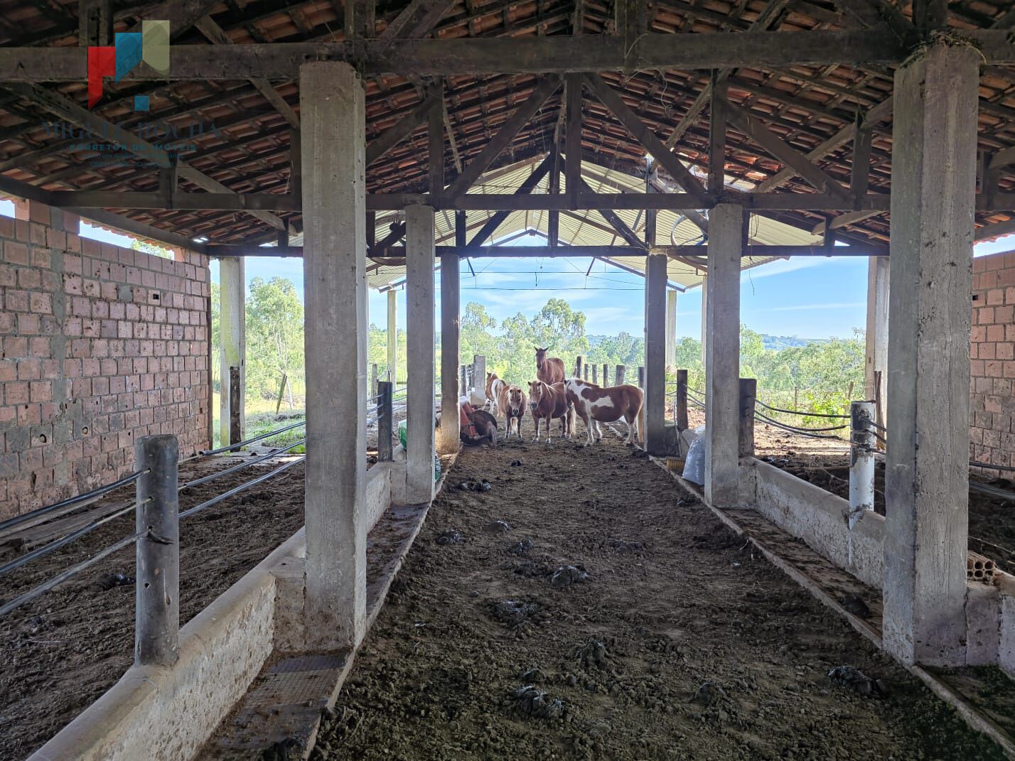 Sítio à venda com 3 quartos, 290000m² - Foto 43