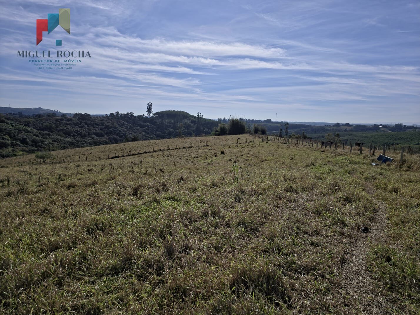 Sítio à venda com 3 quartos, 290000m² - Foto 33