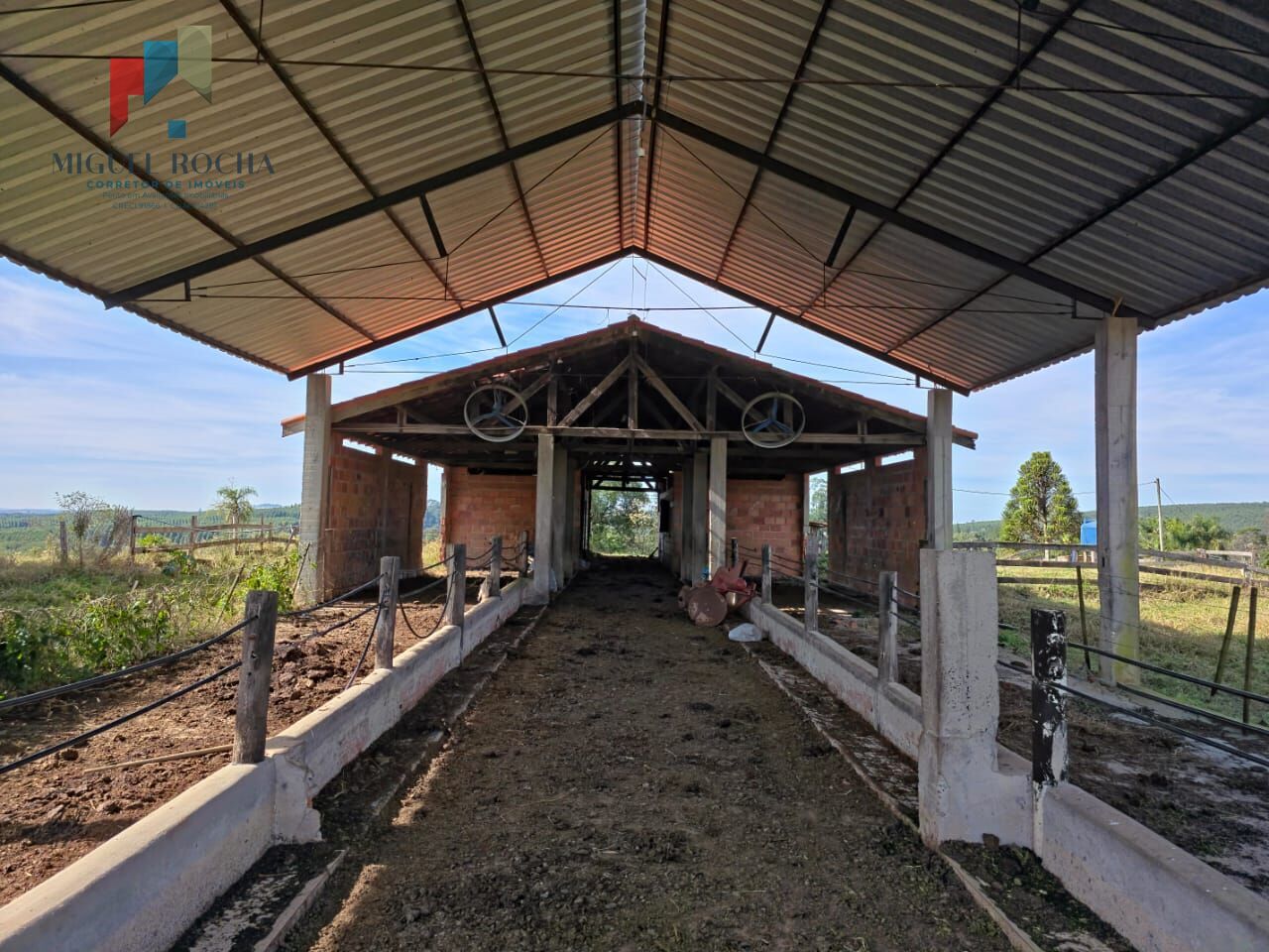 Sítio à venda com 3 quartos, 290000m² - Foto 11