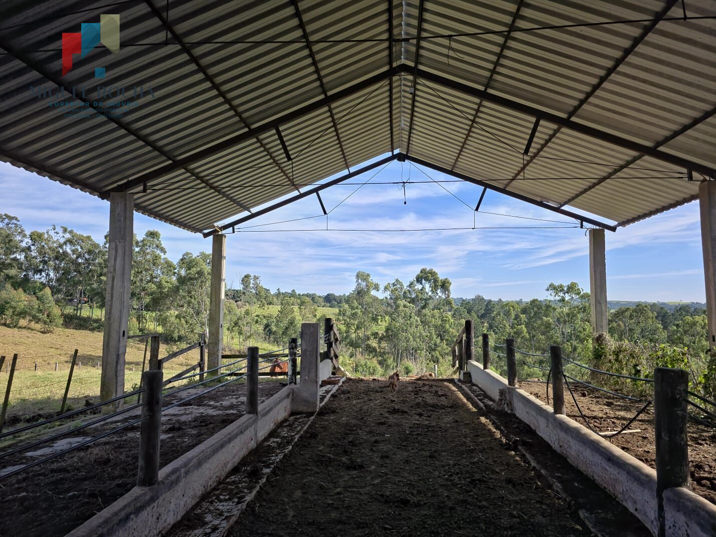 Sítio à venda com 3 quartos, 290000m² - Foto 26