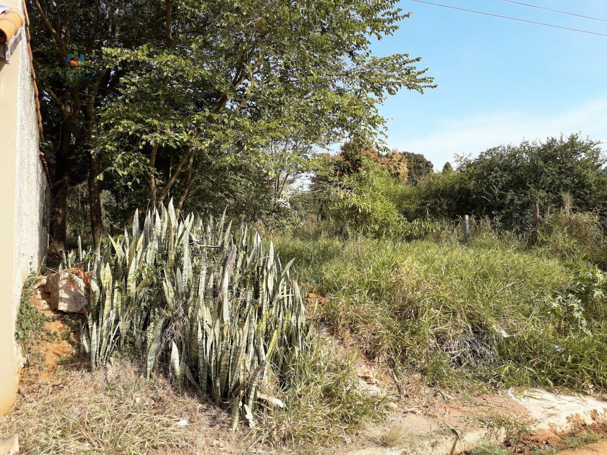 Terreno à venda, 310m² - Foto 3