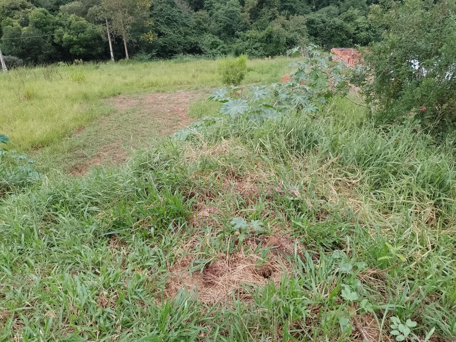 Terreno à venda, 7000m² - Foto 10