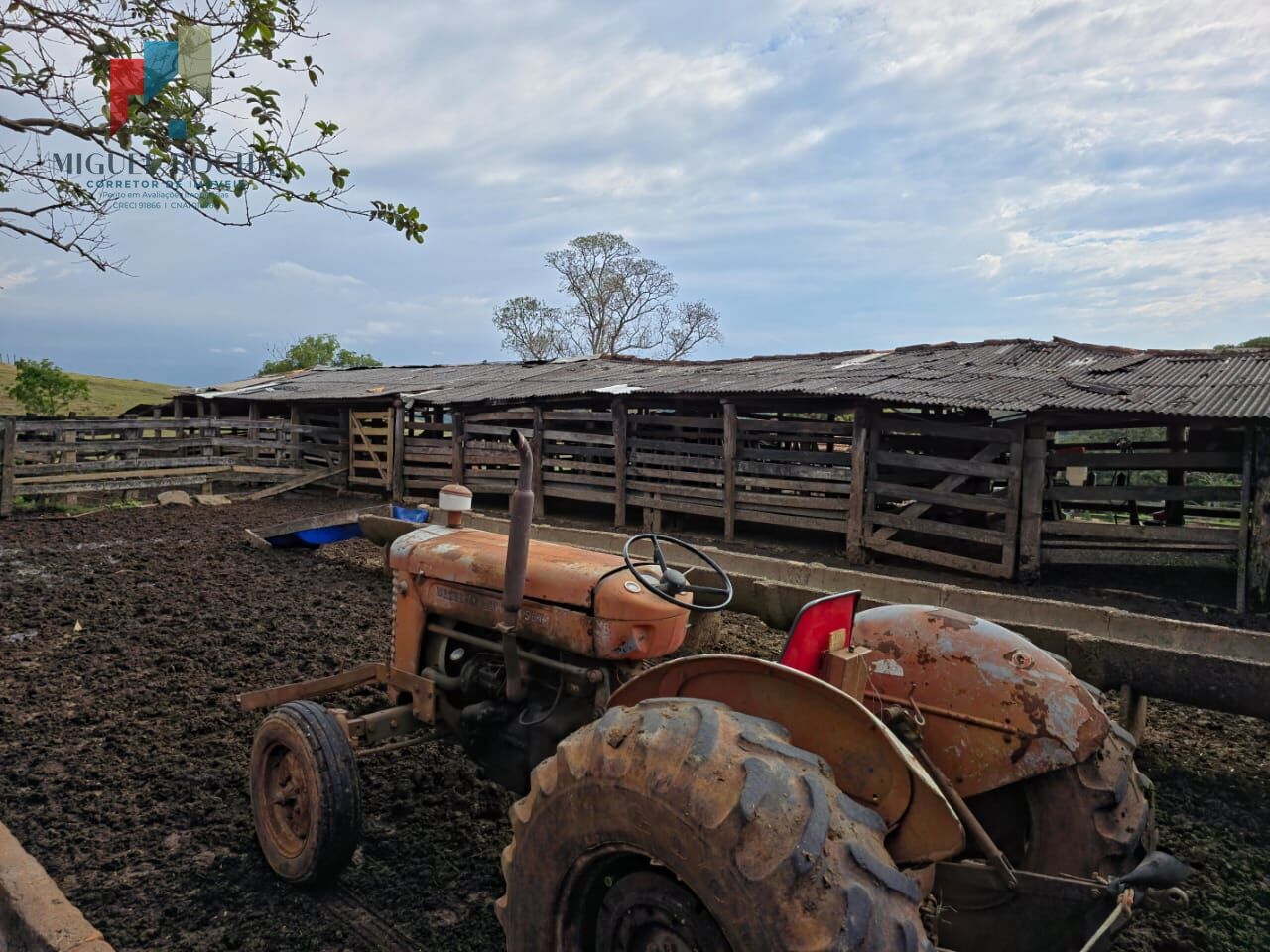 Sítio, 2 quartos, 87 hectares - Foto 13