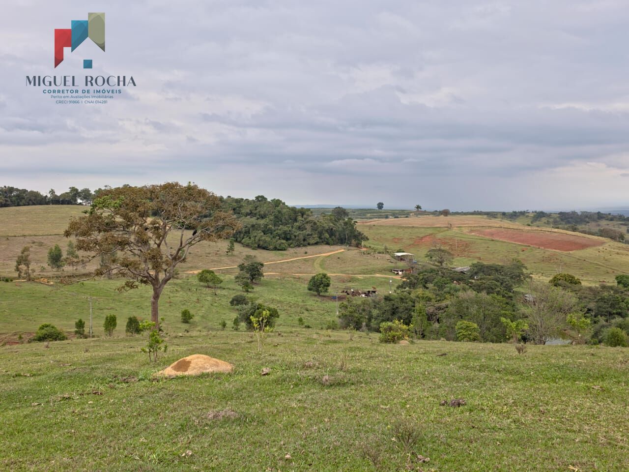 Sítio, 2 quartos, 87 hectares - Foto 31