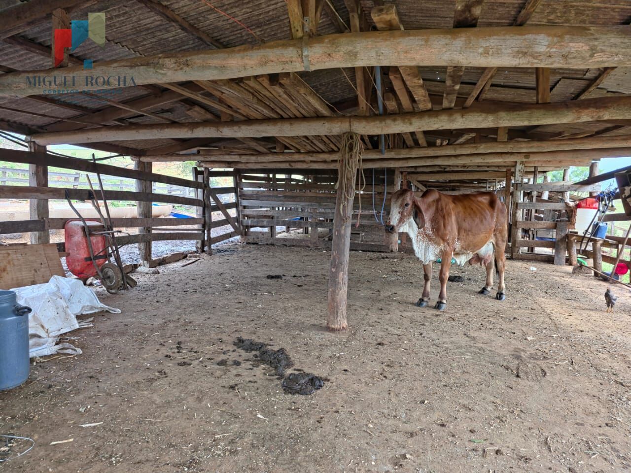 Sítio, 2 quartos, 87 hectares - Foto 2