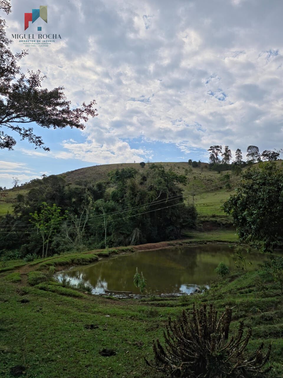 Sítio, 2 quartos, 87 hectares - Foto 29