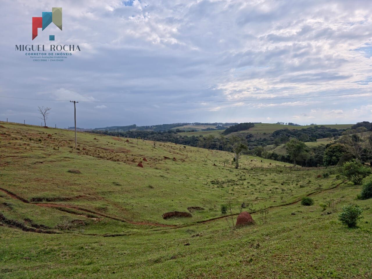 Sítio, 2 quartos, 87 hectares - Foto 3