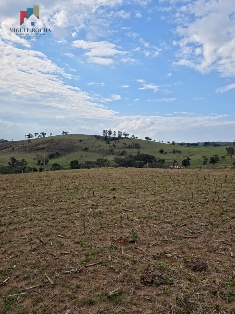 Sítio, 2 quartos, 87 hectares - Foto 24
