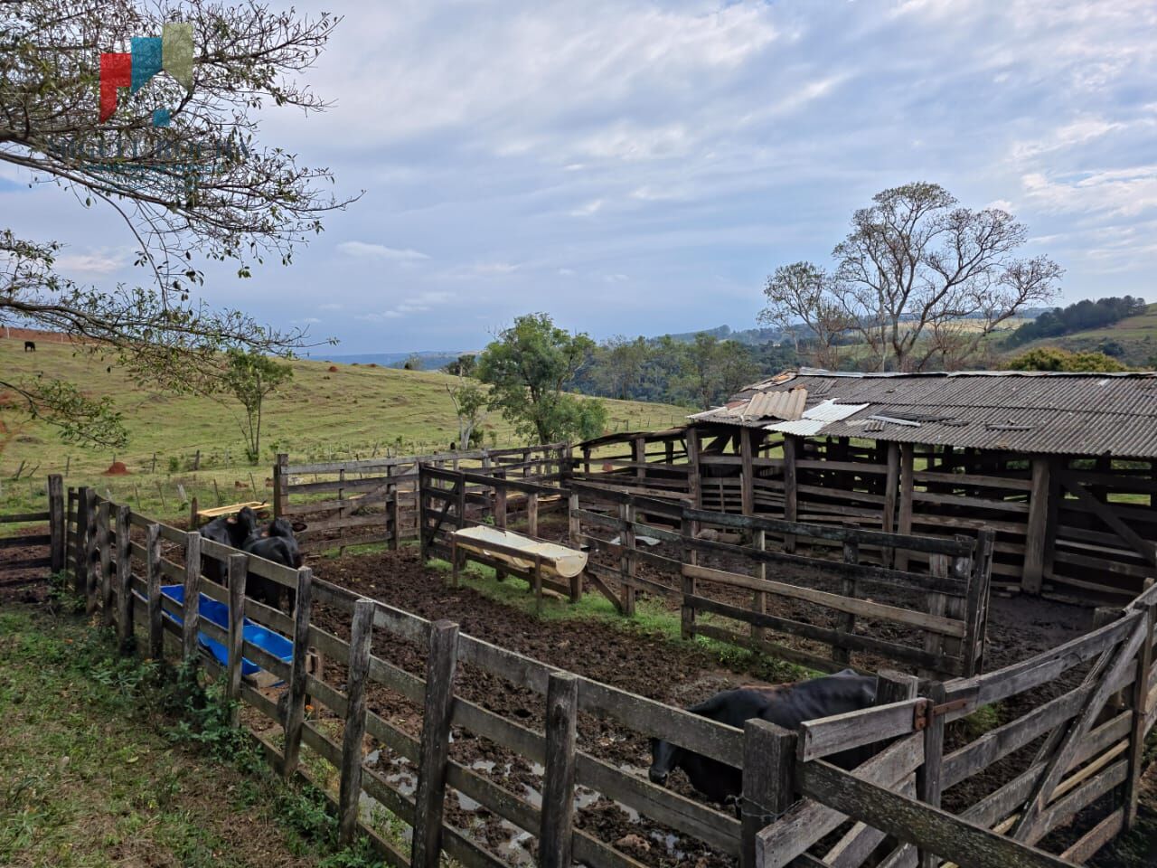 Sítio, 2 quartos, 87 hectares - Foto 1