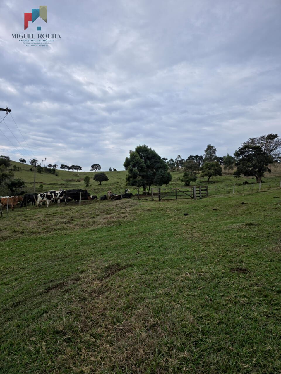 Sítio, 2 quartos, 87 hectares - Foto 27