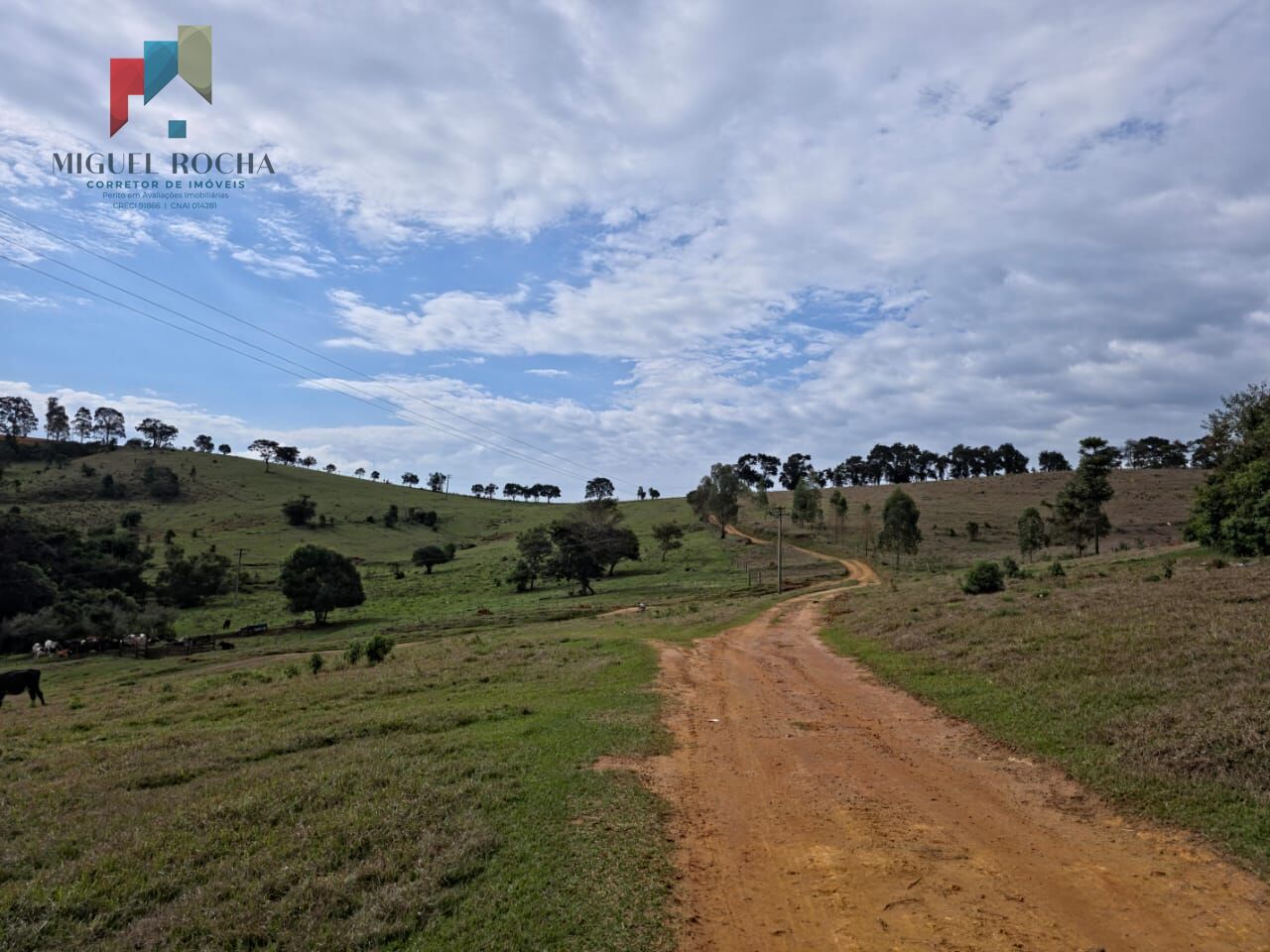 Sítio, 2 quartos, 87 hectares - Foto 4