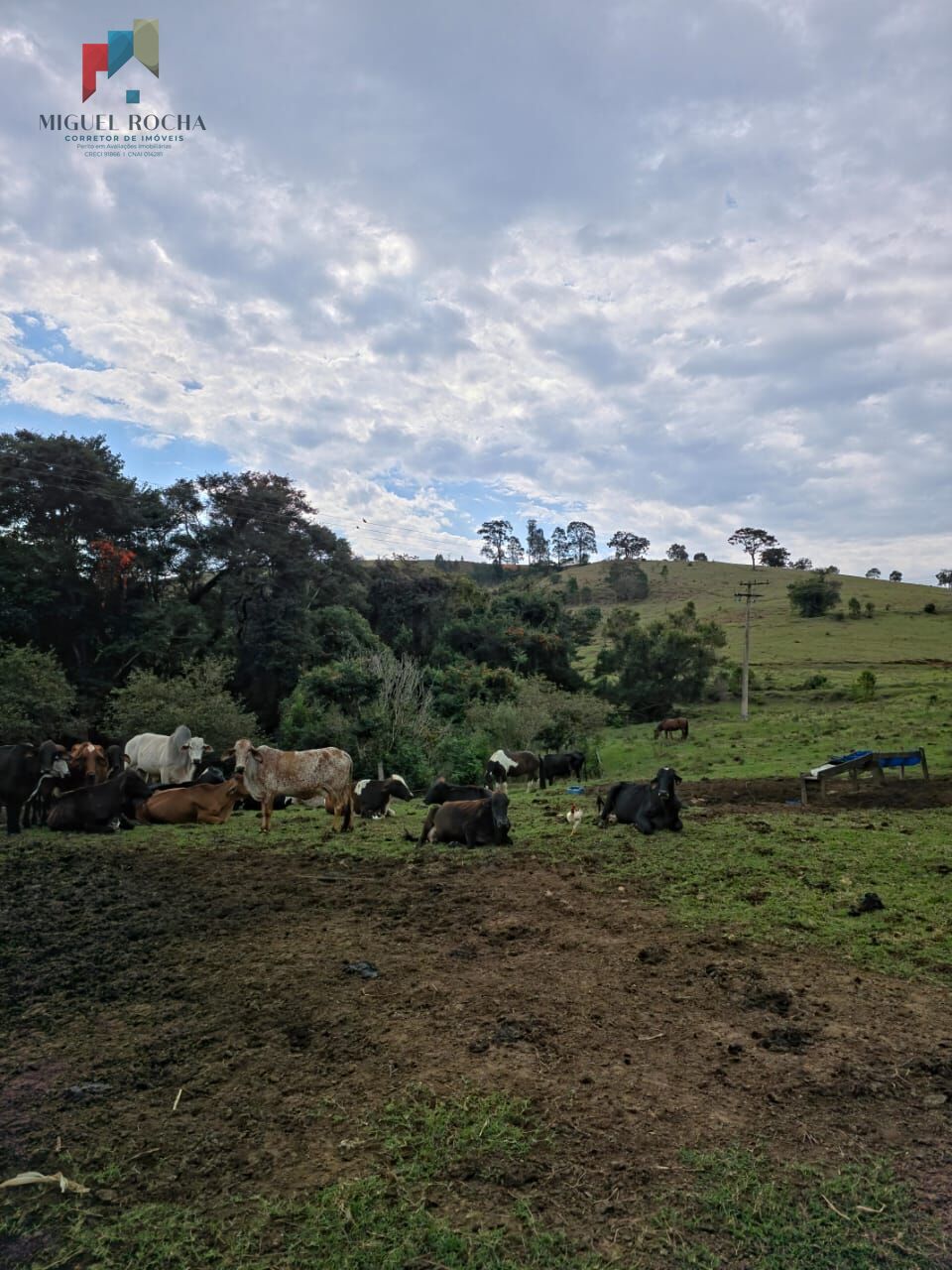 Sítio, 2 quartos, 87 hectares - Foto 15