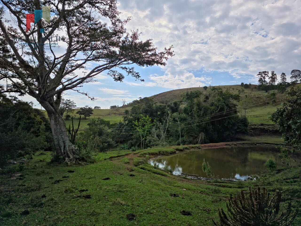 Sítio, 2 quartos, 87 hectares - Foto 8
