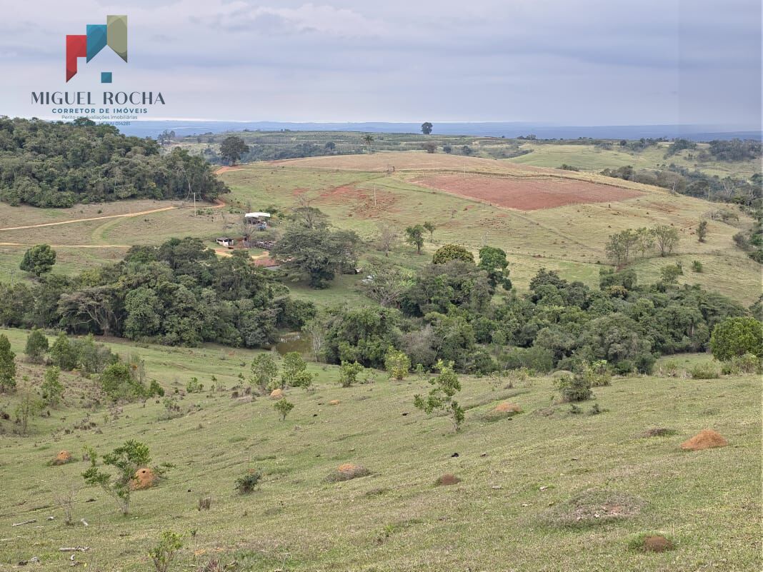 Sítio, 2 quartos, 87 hectares - Foto 23