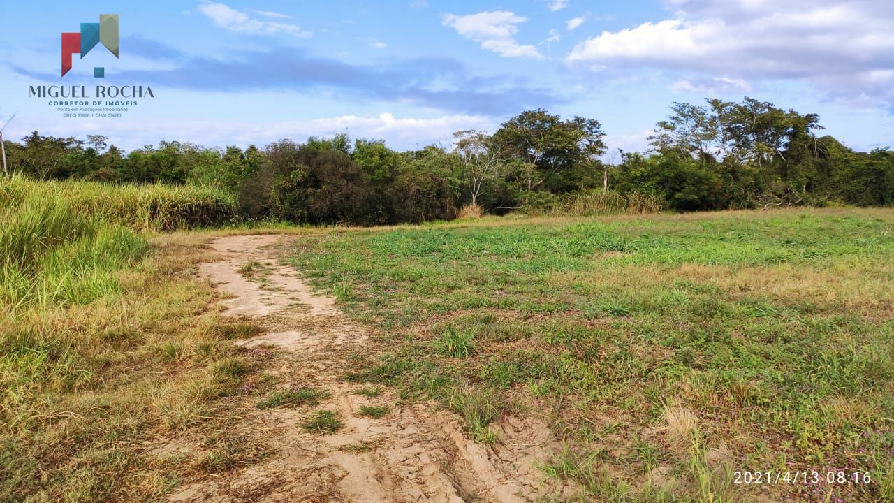 Fazenda à venda, 336000m² - Foto 4