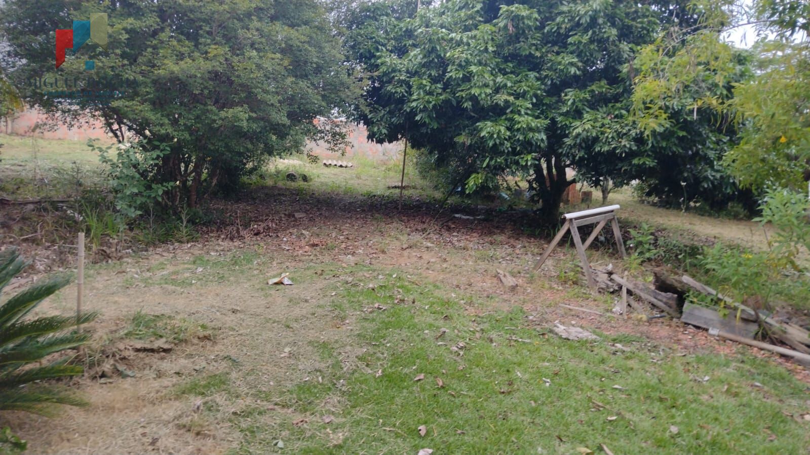 Fazenda à venda com 1 quarto, 2880m² - Foto 11