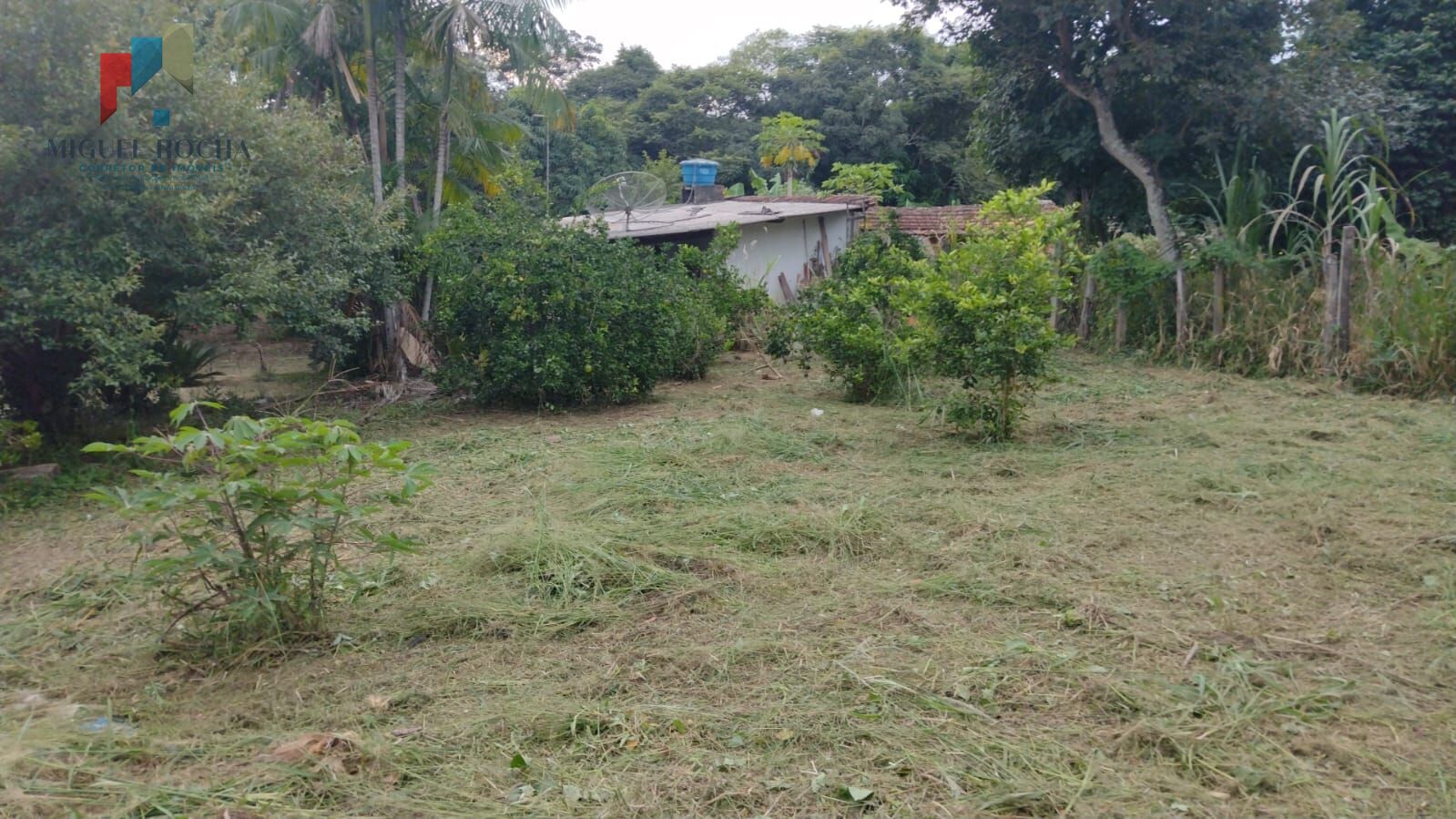 Fazenda à venda com 1 quarto, 2880m² - Foto 8