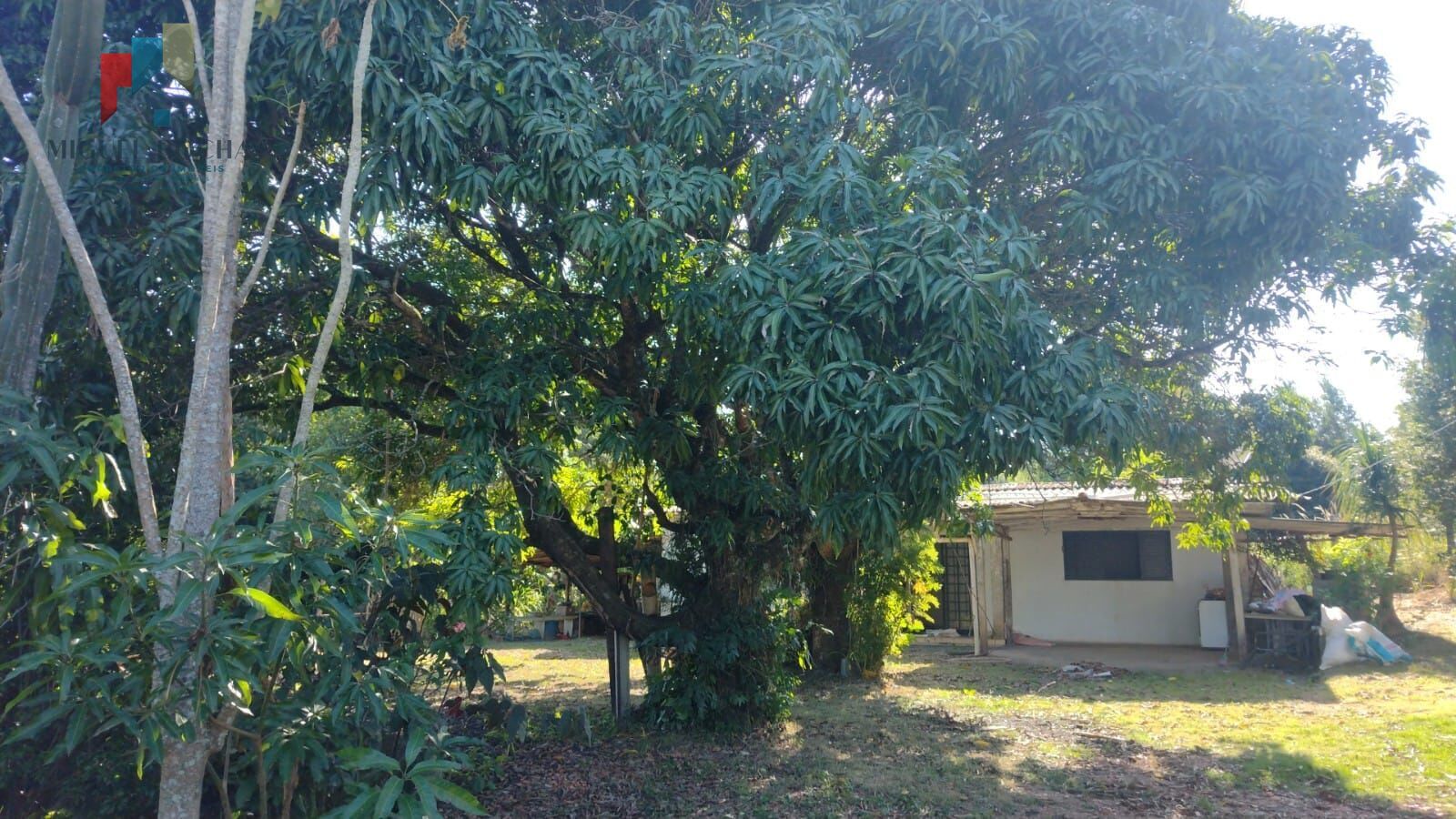 Fazenda à venda com 1 quarto, 2880m² - Foto 9