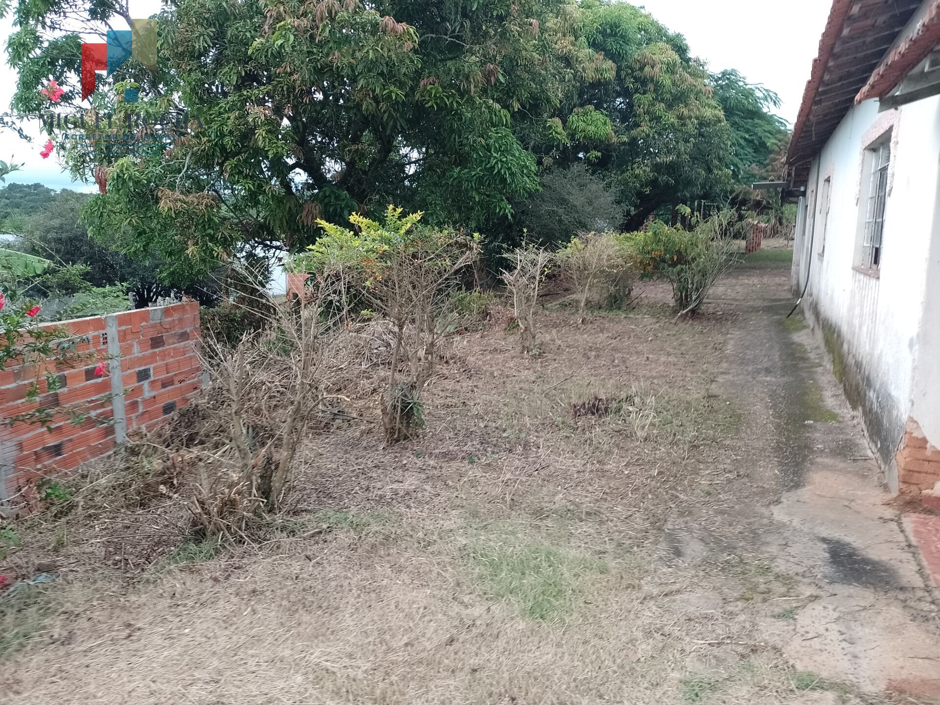 Fazenda à venda com 3 quartos, 2760m² - Foto 5