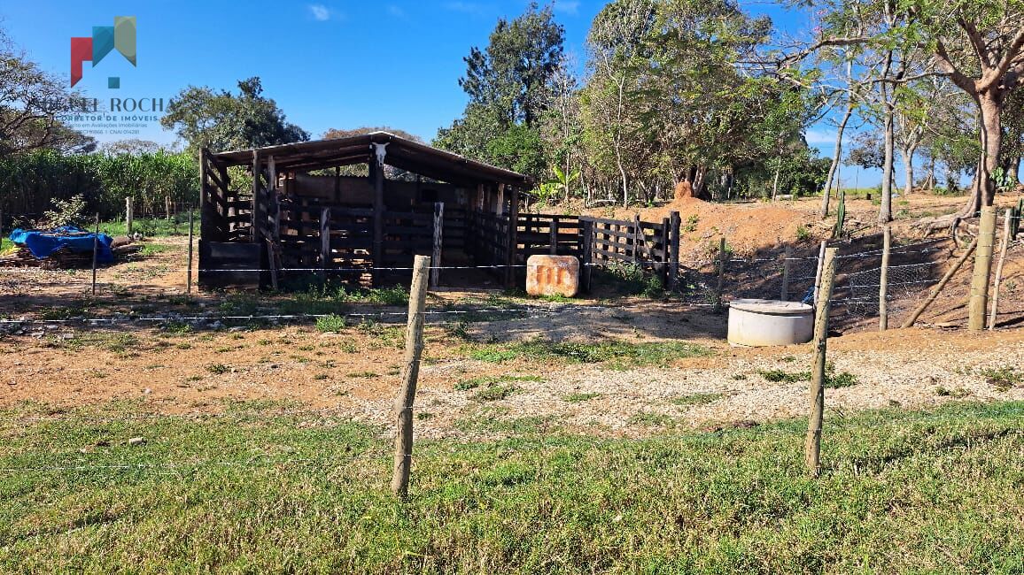 Sítio, 3 quartos, 3 hectares - Foto 14