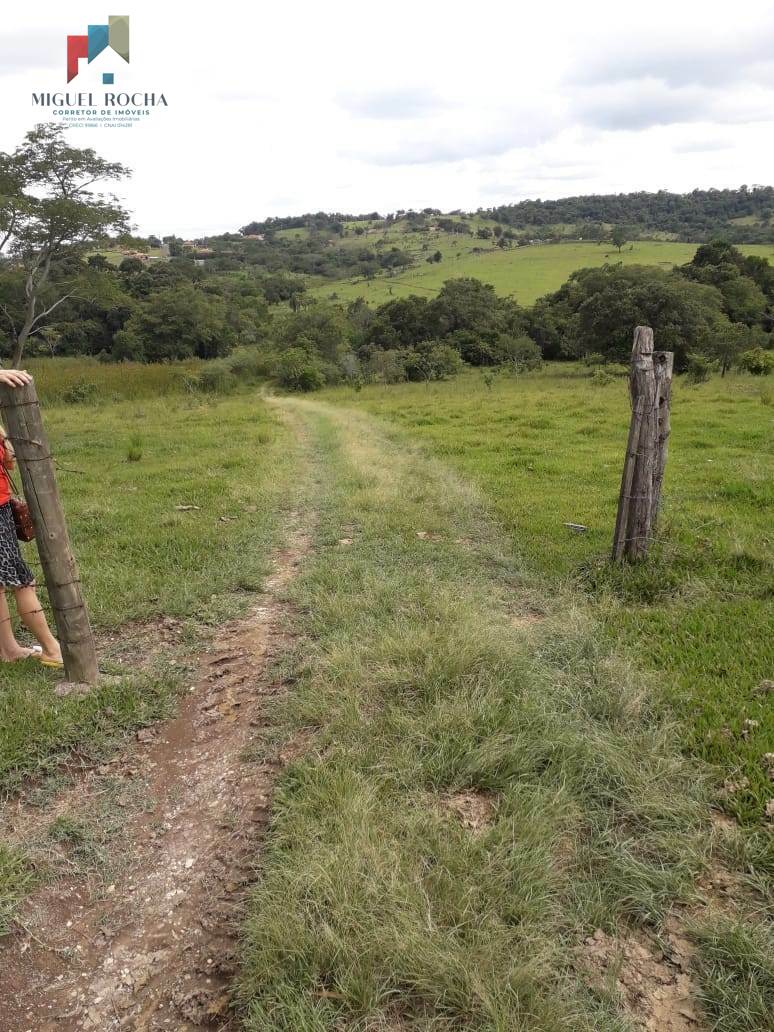 Terreno à venda, 60000m² - Foto 3