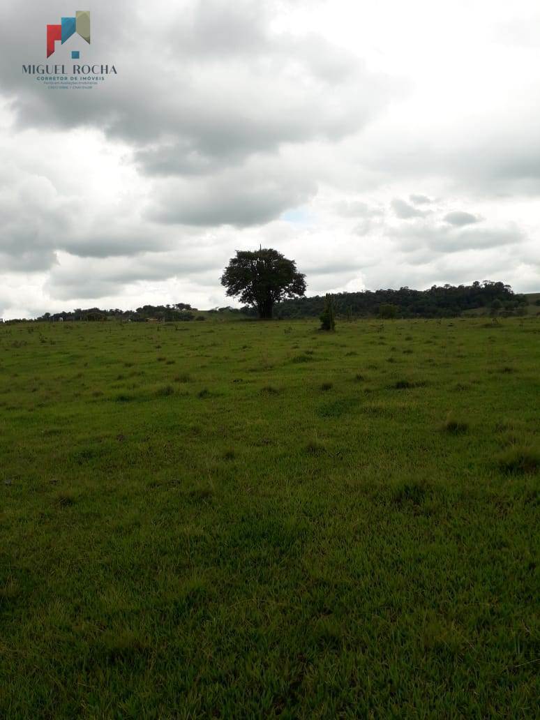 Terreno à venda, 60000m² - Foto 22