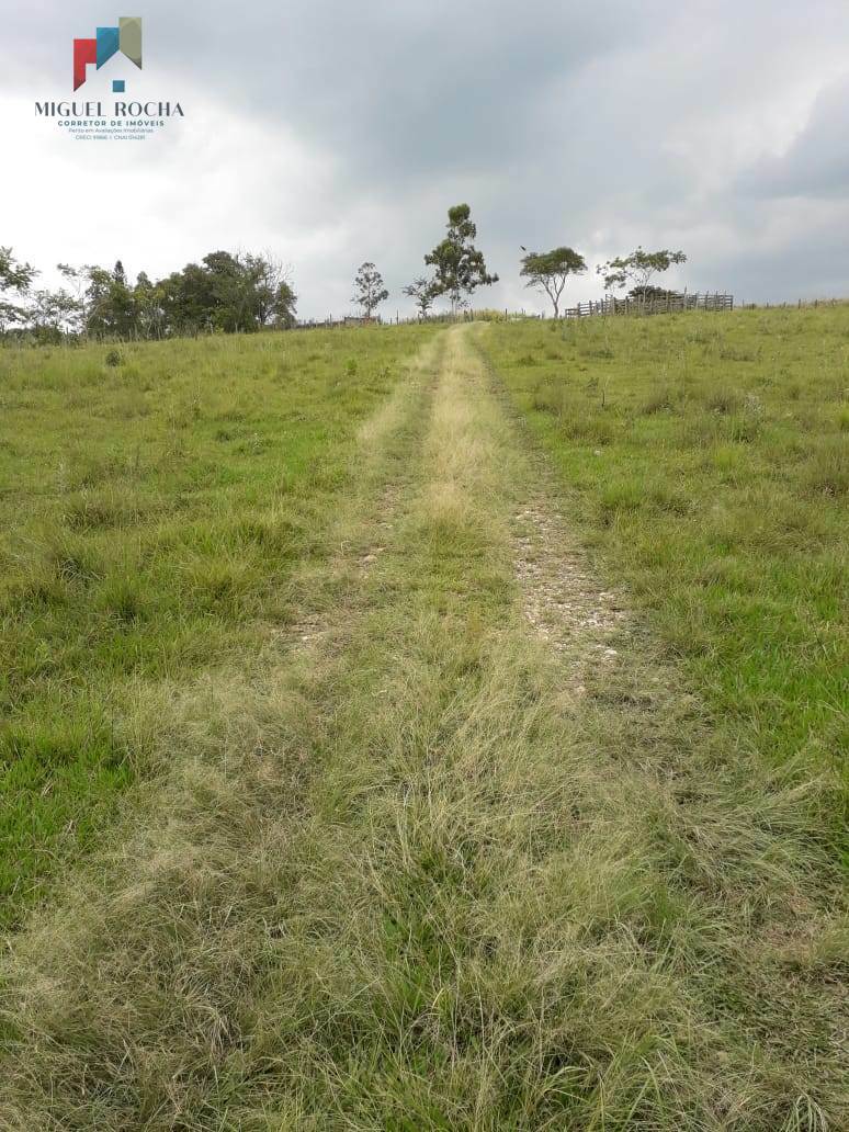 Terreno à venda, 60000m² - Foto 19