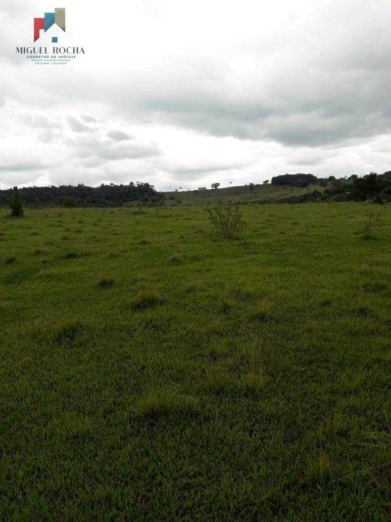 Terreno à venda, 60000m² - Foto 9