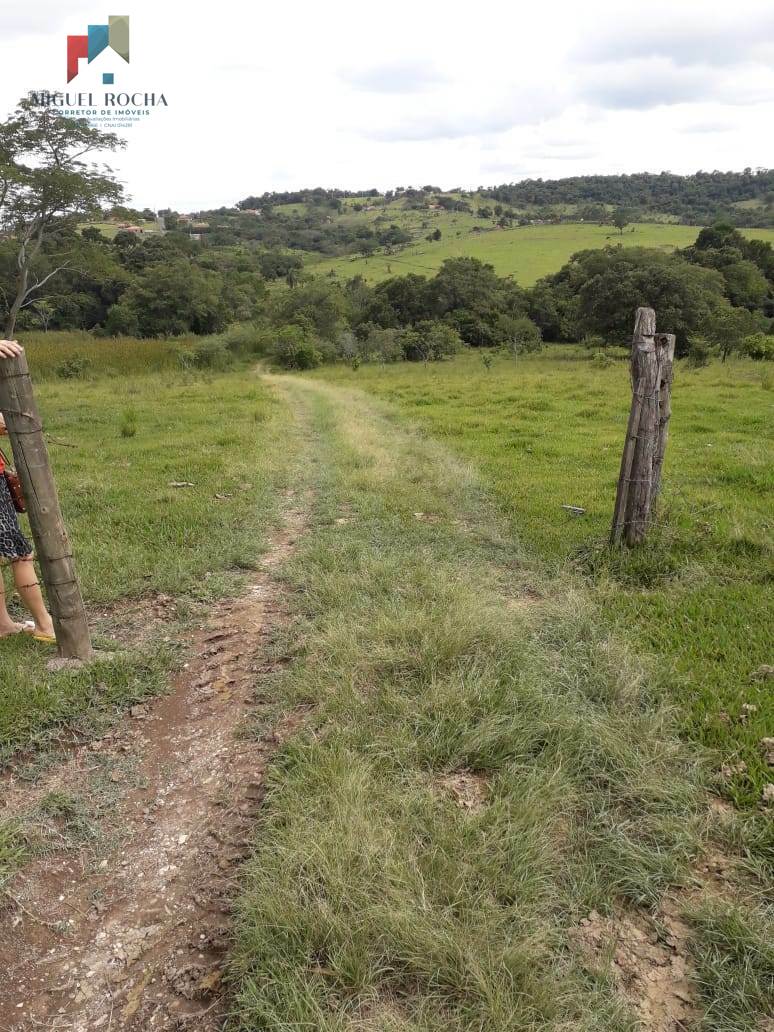 Terreno à venda, 60000m² - Foto 5